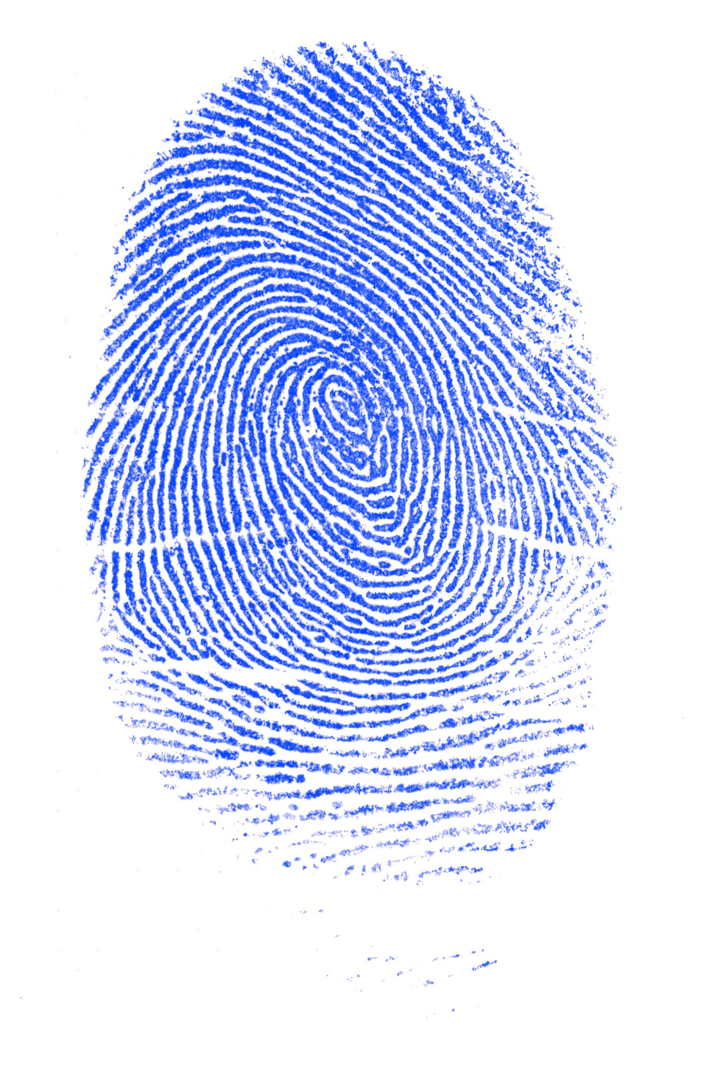 fingerprint